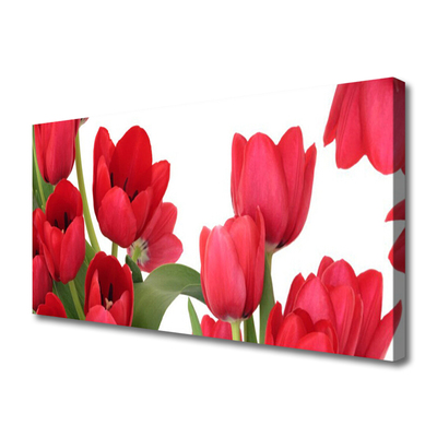 Quadro canvas Tulipas Flores Planta