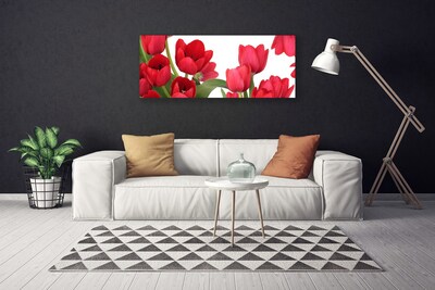 Quadro canvas Tulipas Flores Planta