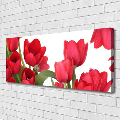 Quadro canvas Tulipas Flores Planta