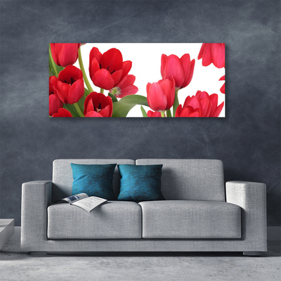 Quadro canvas Tulipas Flores Planta