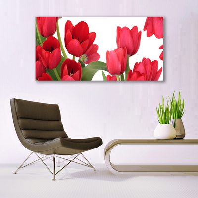 Quadro canvas Tulipas Flores Planta