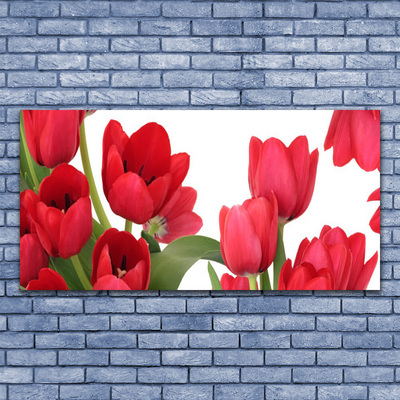Quadro canvas Tulipas Flores Planta
