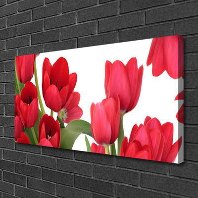 Quadro canvas Tulipas Flores Planta
