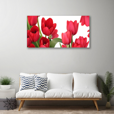 Quadro canvas Tulipas Flores Planta