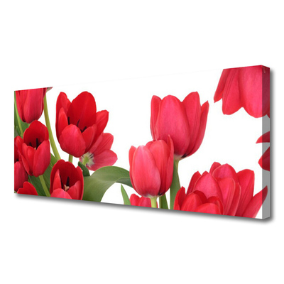 Quadro canvas Tulipas Flores Planta
