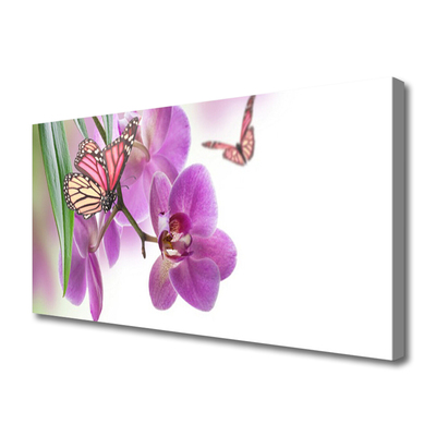 Quadro canvas Borboletas Flores Natureza