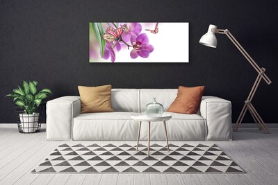 Quadro canvas Borboletas Flores Natureza