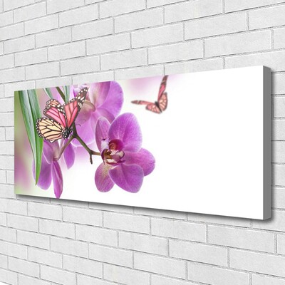 Quadro canvas Borboletas Flores Natureza