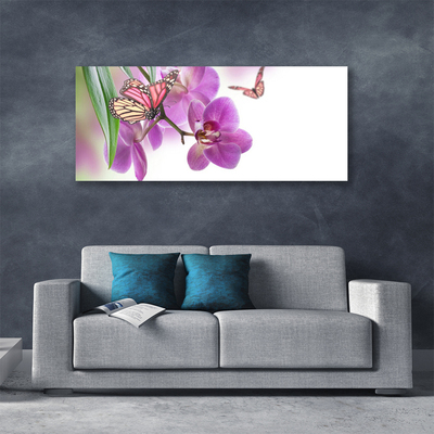 Quadro canvas Borboletas Flores Natureza