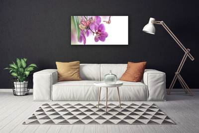 Quadro canvas Borboletas Flores Natureza