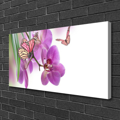 Quadro canvas Borboletas Flores Natureza