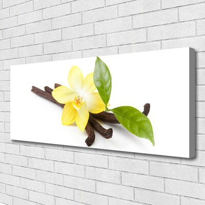 Quadro canvas Planta de folhas de baunilha