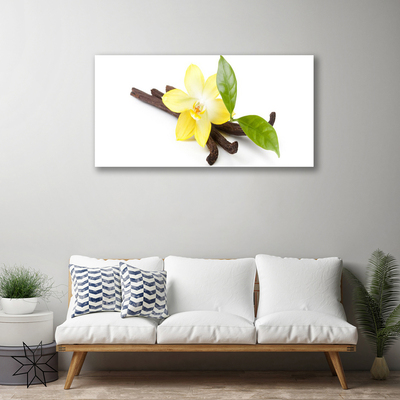 Quadro canvas Planta de folhas de baunilha