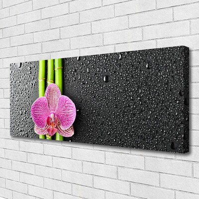 Quadro em tela Planta de flor de bambu Natureza