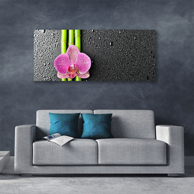 Quadro em tela Planta de flor de bambu Natureza