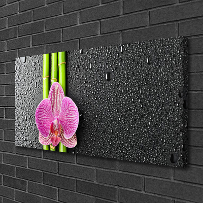 Quadro em tela Planta de flor de bambu Natureza