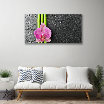 Quadro em tela Planta de flor de bambu Natureza