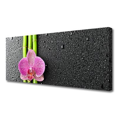 Quadro em tela Planta de flor de bambu Natureza