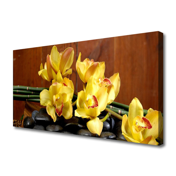 Quadro em tela Planta de orquídea flor
