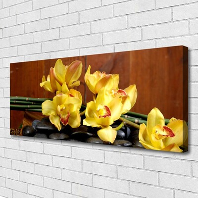 Quadro em tela Planta de orquídea flor