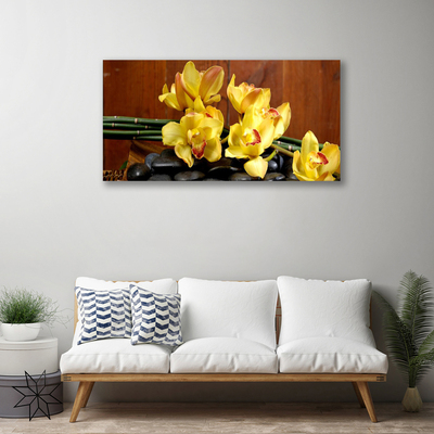 Quadro em tela Planta de orquídea flor