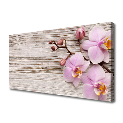 Quadro canvas Flores Planta Natureza