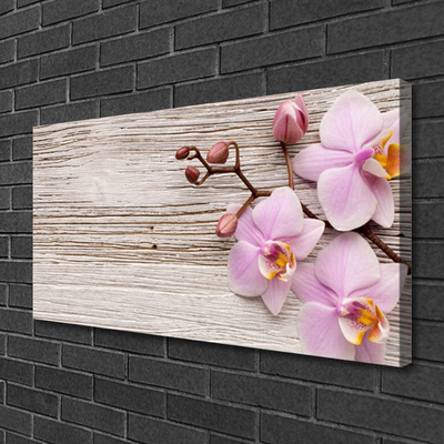 Quadro canvas Flores Planta Natureza