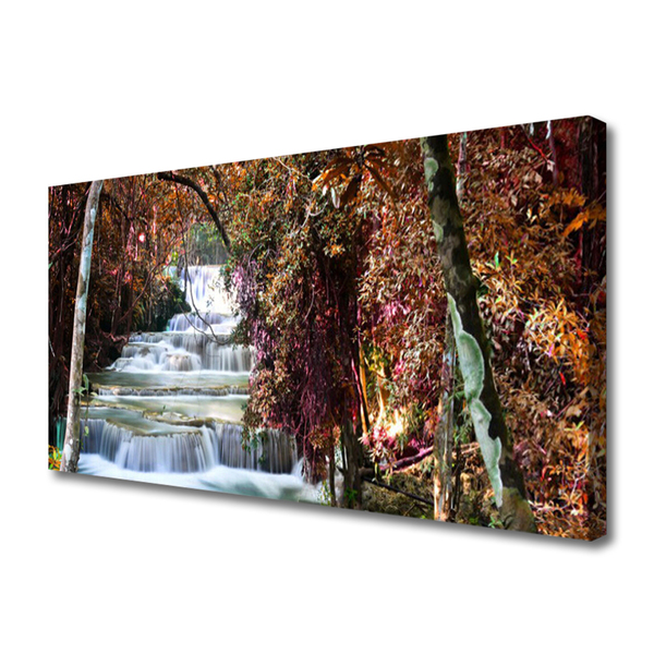 Quadro canvas Cachoeira Floresta Natureza