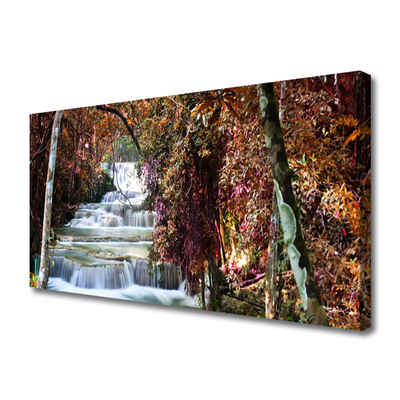 Quadro canvas Cachoeira Floresta Natureza