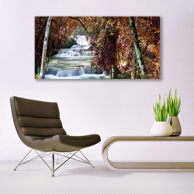Quadro canvas Cachoeira Floresta Natureza