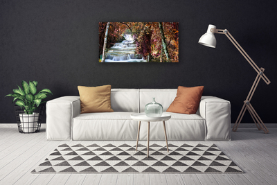 Quadro canvas Cachoeira Floresta Natureza