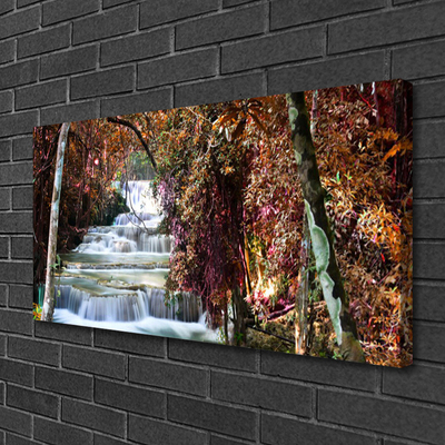 Quadro canvas Cachoeira Floresta Natureza
