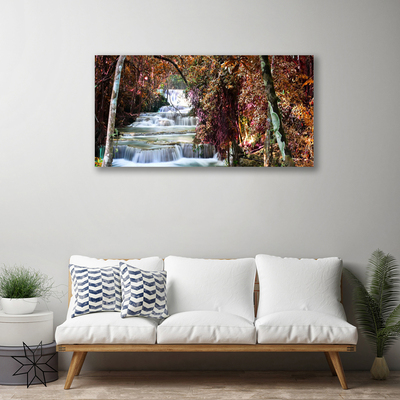 Quadro canvas Cachoeira Floresta Natureza