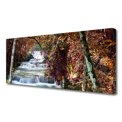 Quadro canvas Cachoeira Floresta Natureza