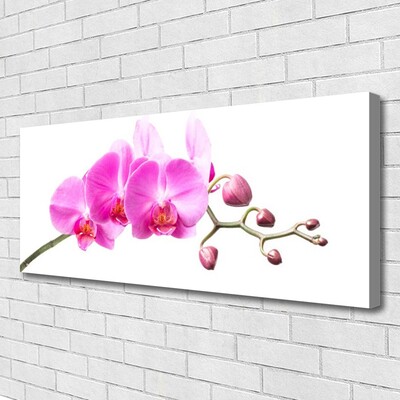 Quadro em tela Flores Planta Natureza