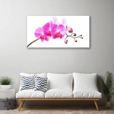 Quadro em tela Flores Planta Natureza