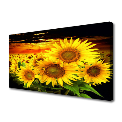 Quadro canvas Planta de flor de girassol