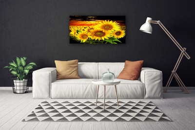 Quadro canvas Planta de flor de girassol