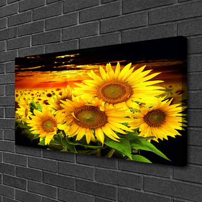 Quadro canvas Planta de flor de girassol