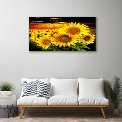 Quadro canvas Planta de flor de girassol