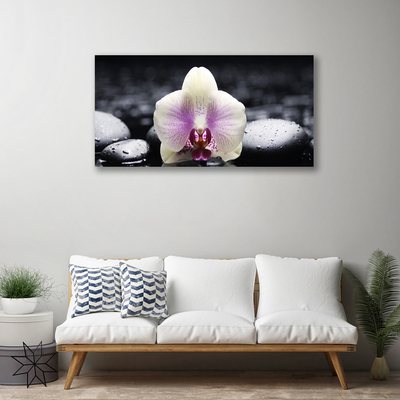 Quadro em tela Planta de orquídea flor