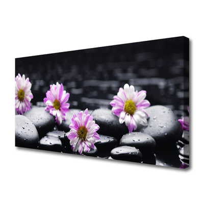 Quadro canvas Planta de orquídea flor
