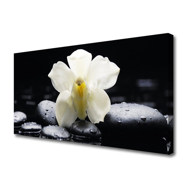 Quadro canvas Planta de orquídea flor