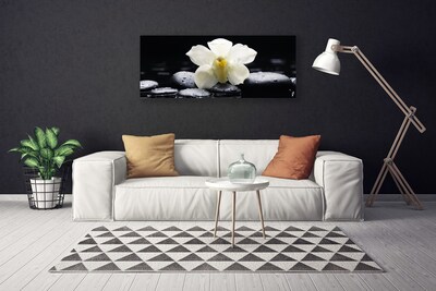 Quadro canvas Planta de orquídea flor