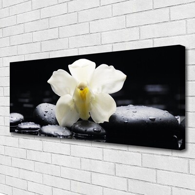 Quadro canvas Planta de orquídea flor