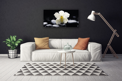 Quadro canvas Planta de orquídea flor