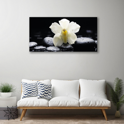 Quadro canvas Planta de orquídea flor