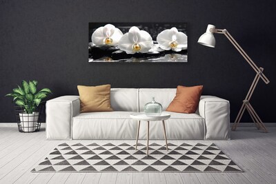 Quadro em tela Flor de orquídea branca