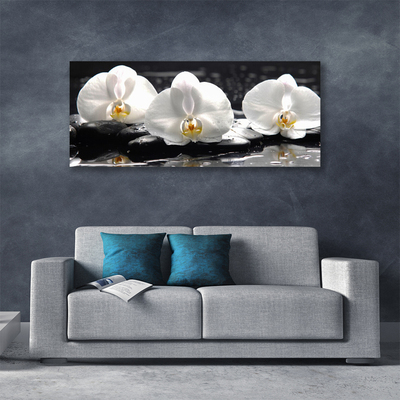 Quadro em tela Flor de orquídea branca