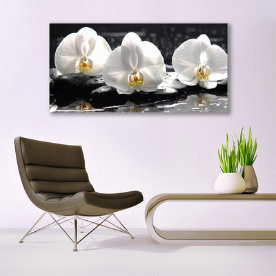 Quadro em tela Flor de orquídea branca